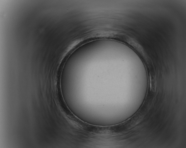 X0000052610483200507160041