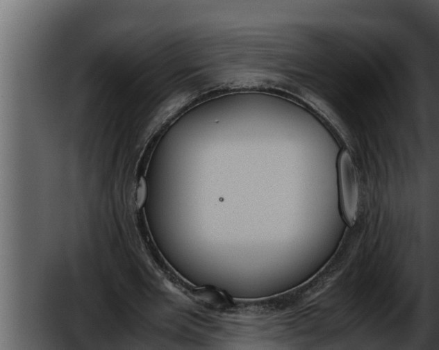 X0000052610485200507160041