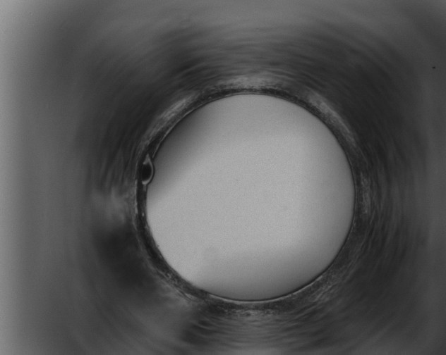 X0000052610486200507160041