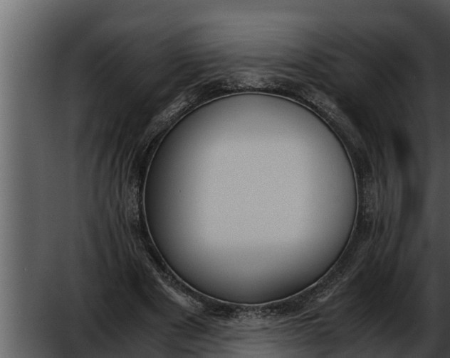 X0000052610489200507160041