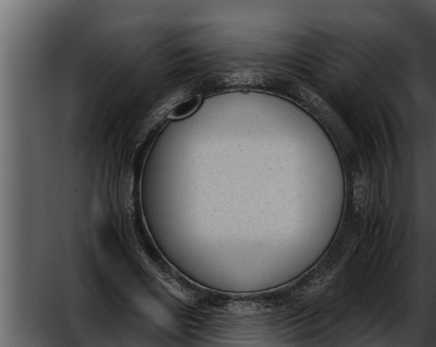 X0000052610490200507160041