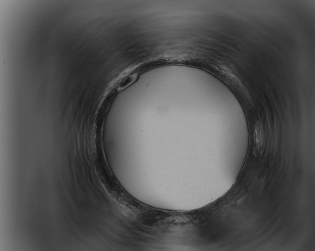 X0000052610492200507160041