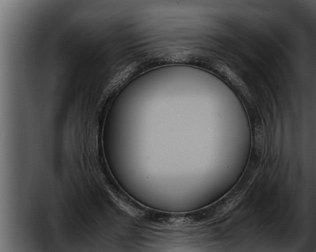 X0000052610493200507160041