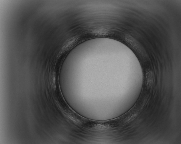 X0000052610494200507160041