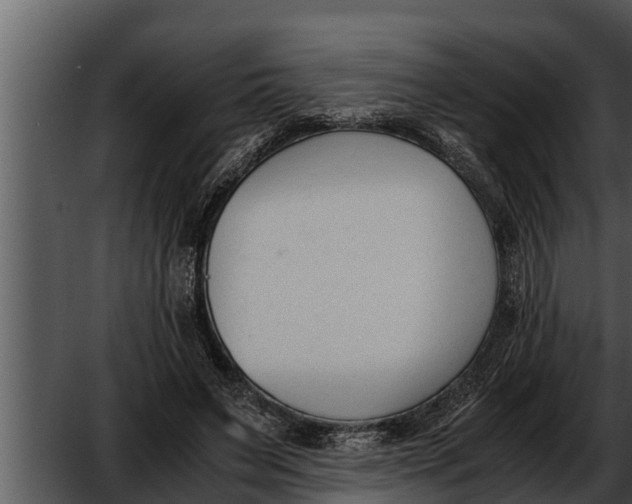 X0000052610495200507160041