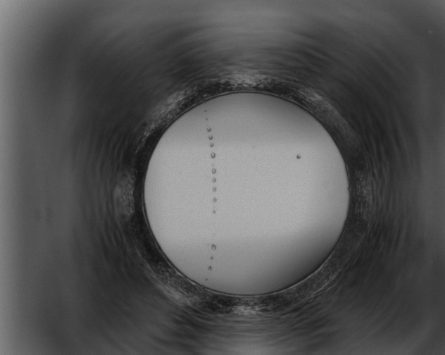 X0000052610496200507160041