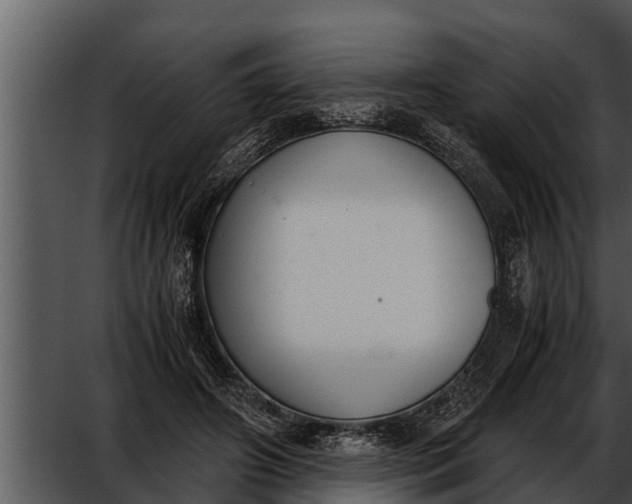 X0000052610498200507160041