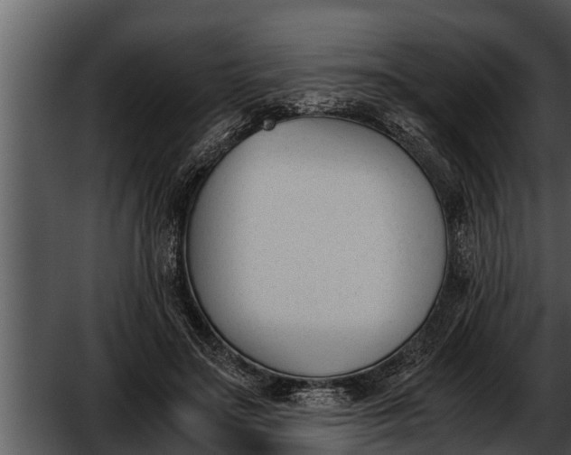 X0000052610499200507160041