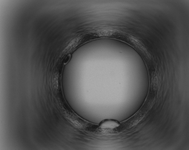 X0000052610501200507160041