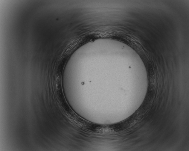 X0000052610503200507160041