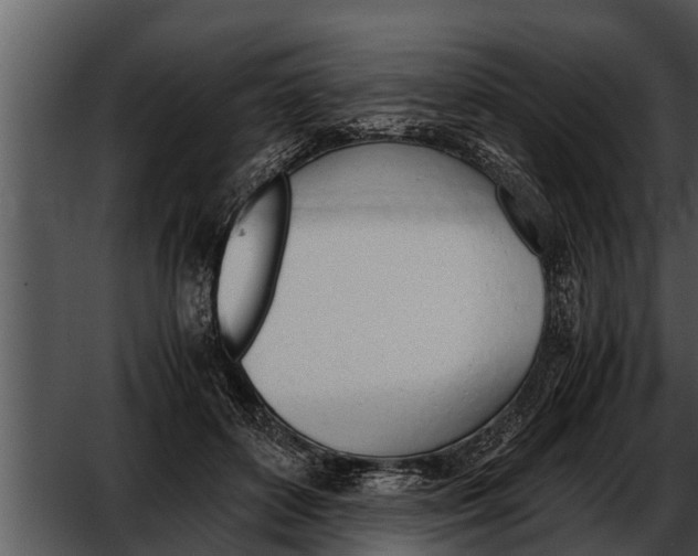 X0000052610504200507160041