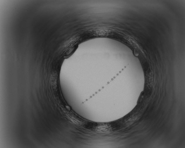 X0000052610505200507160041