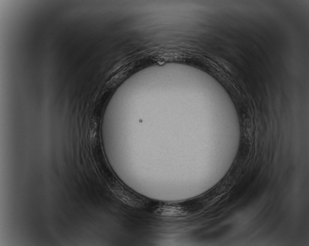 X0000052610507200507160041