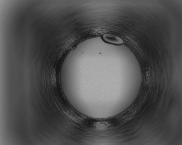 X0000052610508200507160041