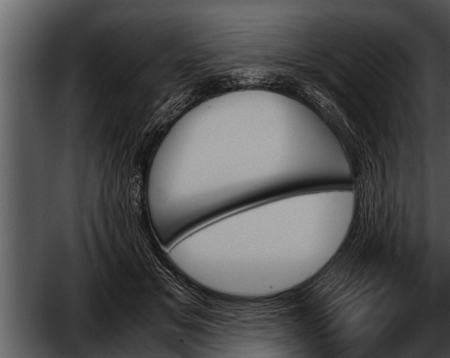 X0000052610509200507160041