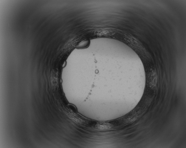 X0000052610510200507160041