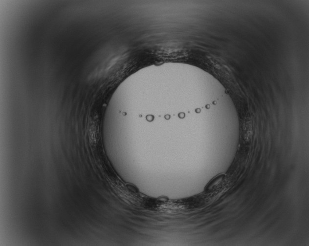 X0000052610515200507160041