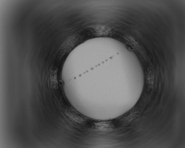 X0000052610516200507160041