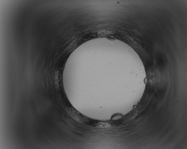 X0000052610519200507160041