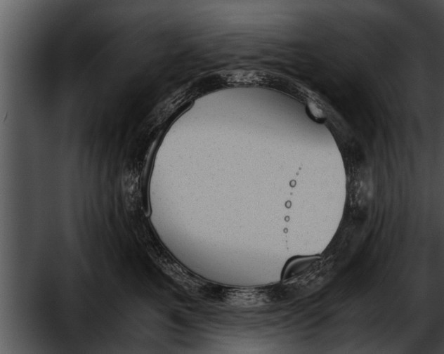 X0000052610521200507160041