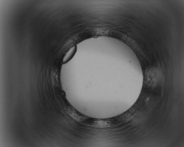 X0000052610522200507160041