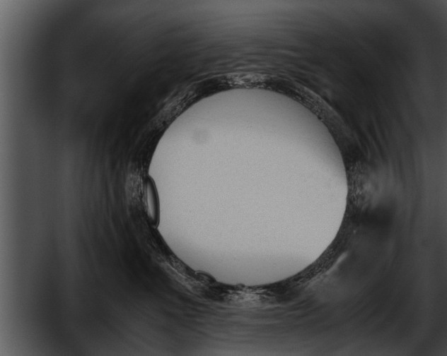 X0000052610523200507160041