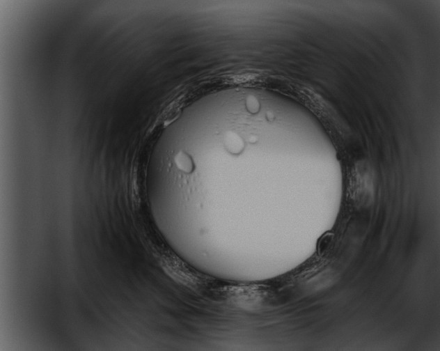 X0000052610524200507160040