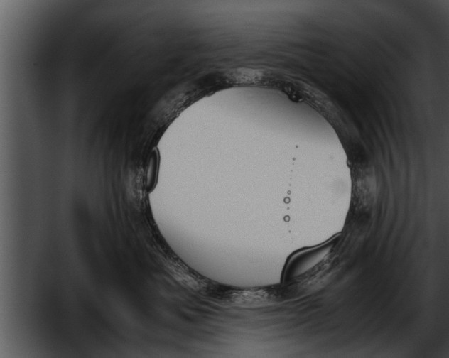 X0000052610525200507160040