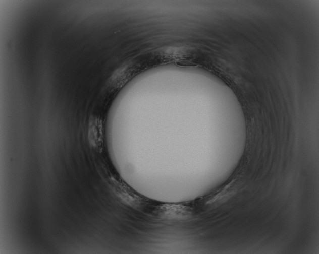 X0000052610528200507160040