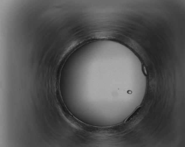 X0000052610530200507160040