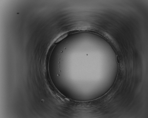 X0000052610532200507160040