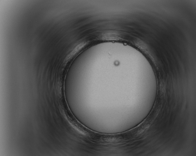 X0000052610533200507160040