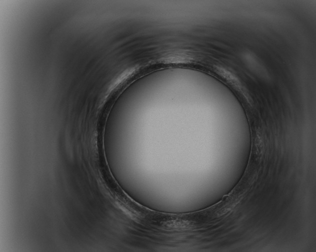 X0000052610535200507160040