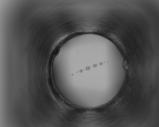 X0000052610536200507160040