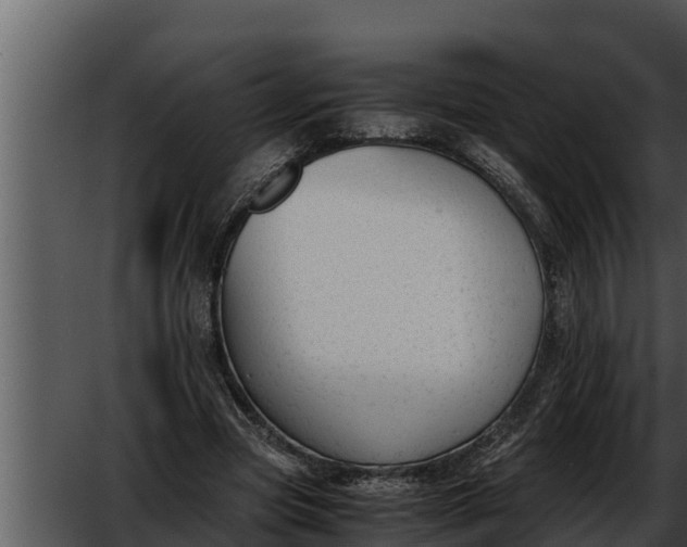 X0000052610537200507160040