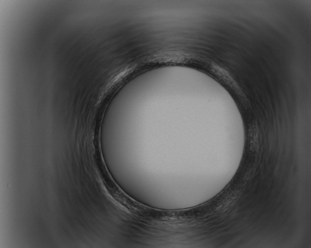 X0000052610538200507160040