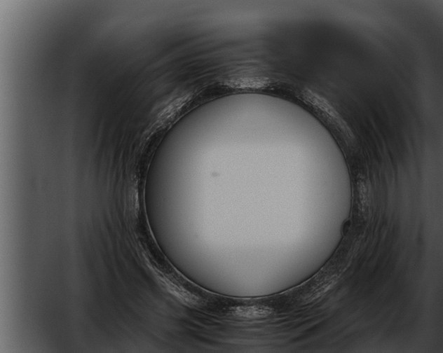 X0000052610541200507160040