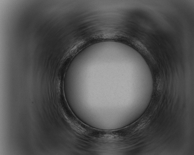 X0000052610542200507160040