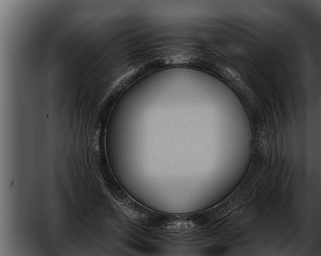 X0000052610543200507160040