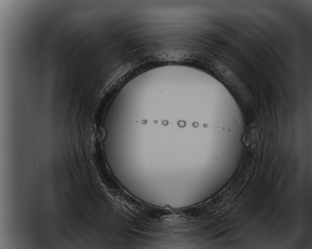 X0000052610544200507160040