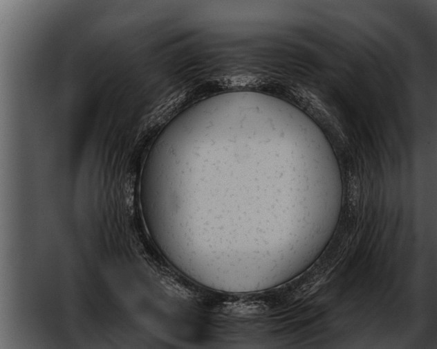 X0000052610545200507160040