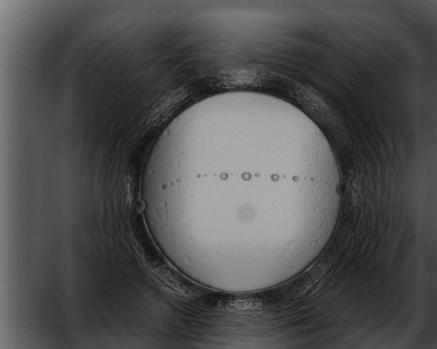 X0000052610546200507160040