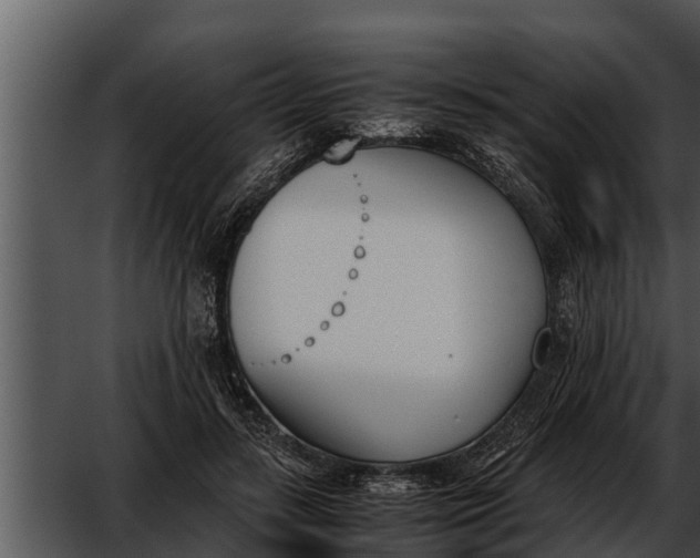 X0000052610547200507160040