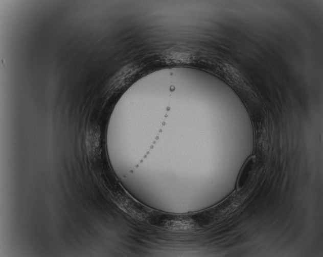 X0000052610548200507160040