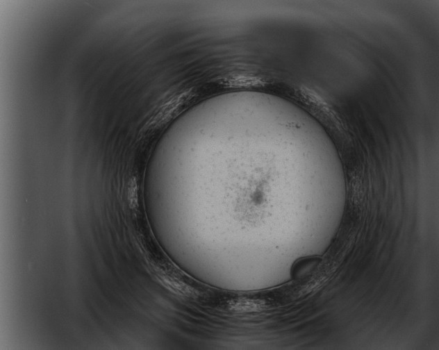 X0000052610549200507160040