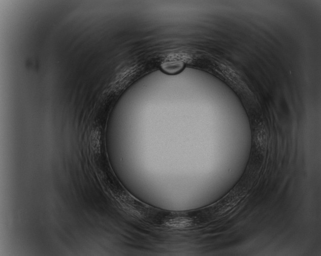 X0000052610551200507160040