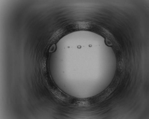 X0000052610552200507160040