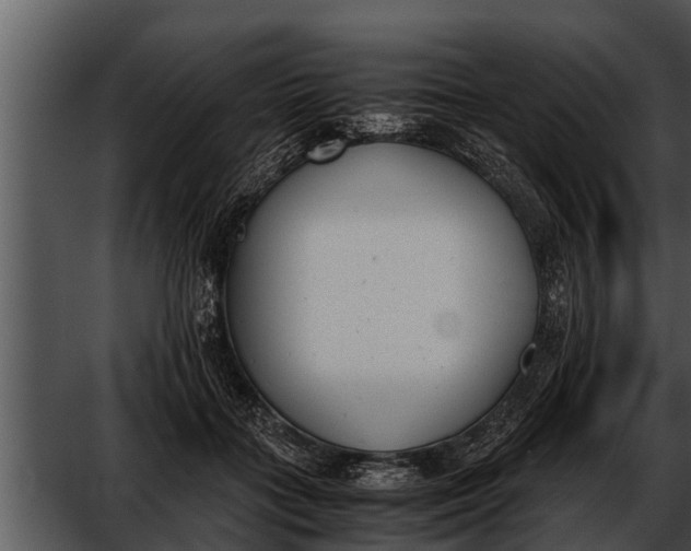 X0000052610555200507160040