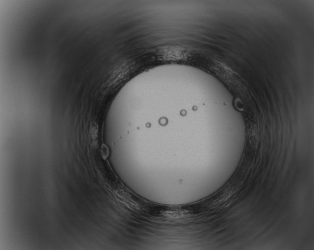 X0000052610556200507160040