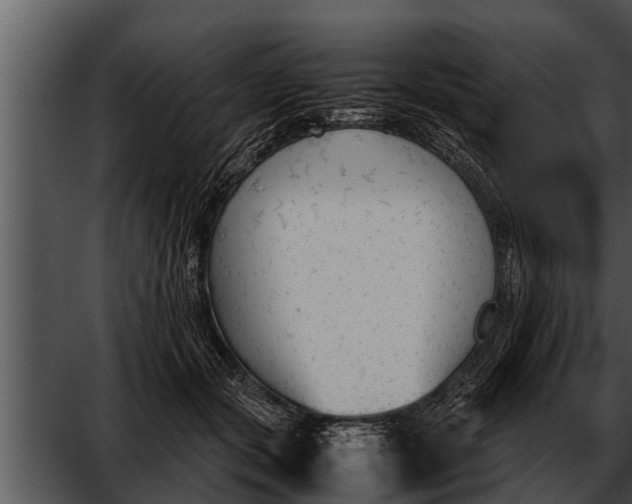 X0000052610557200507160040